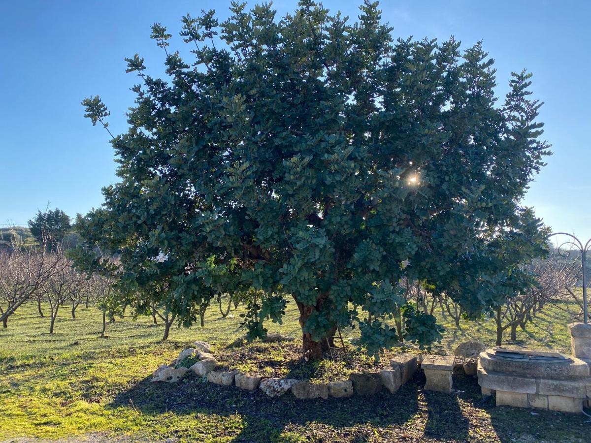 Willa Trullo Della Selva Alberobello Zewnętrze zdjęcie